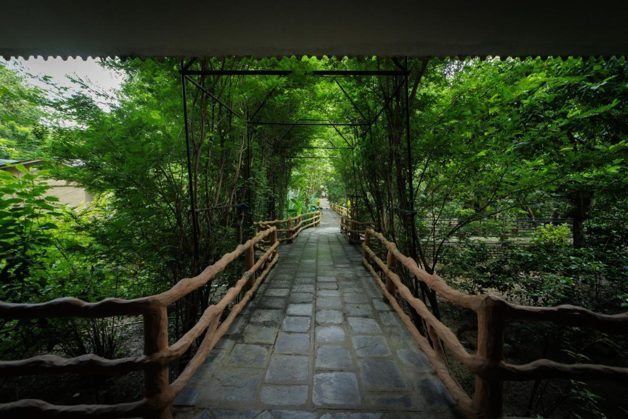 Chitwan Gaida Lodge - Animal Lovers & Birdwatchers Paradise Sauraha Bagian luar foto
