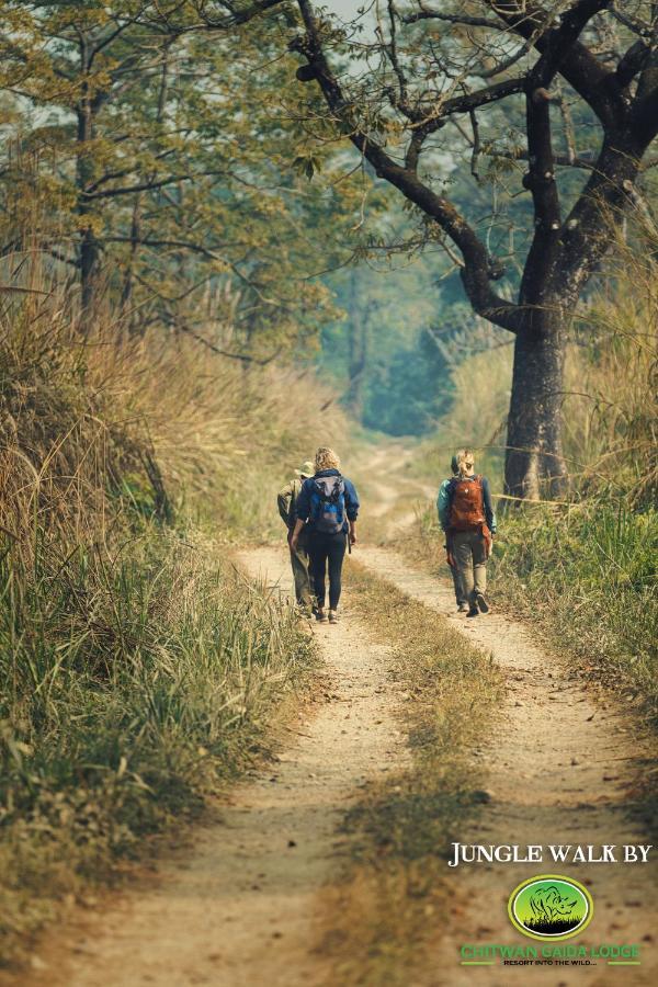 Chitwan Gaida Lodge - Animal Lovers & Birdwatchers Paradise Sauraha Bagian luar foto