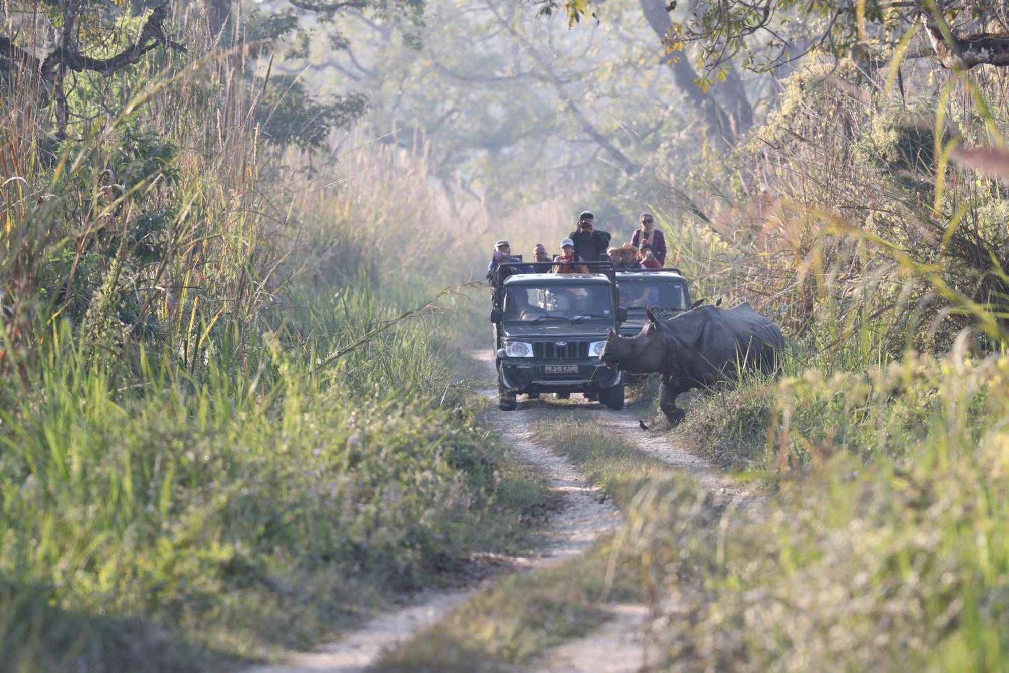 Chitwan Gaida Lodge - Animal Lovers & Birdwatchers Paradise Sauraha Bagian luar foto