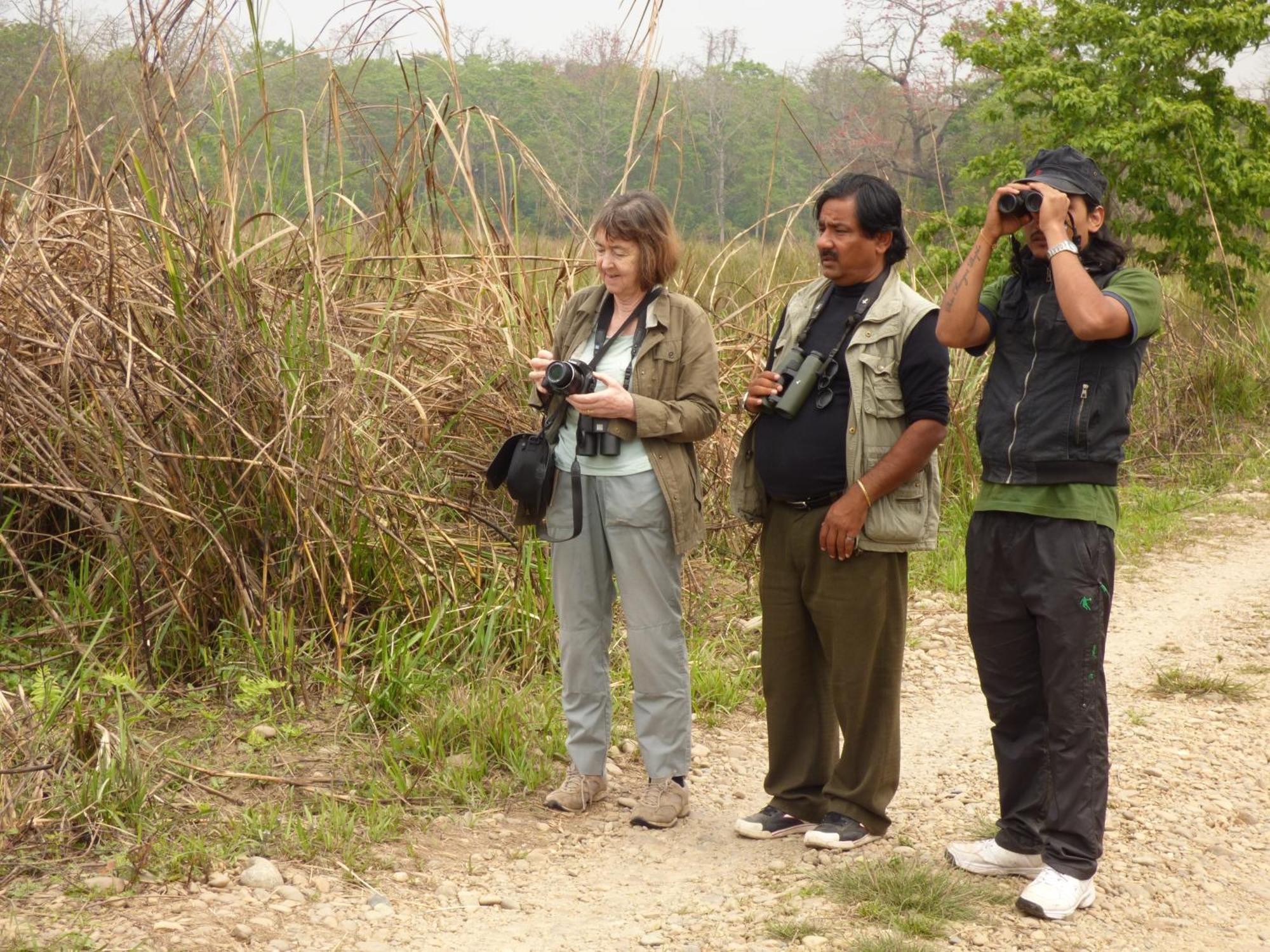 Chitwan Gaida Lodge - Animal Lovers & Birdwatchers Paradise Sauraha Bagian luar foto