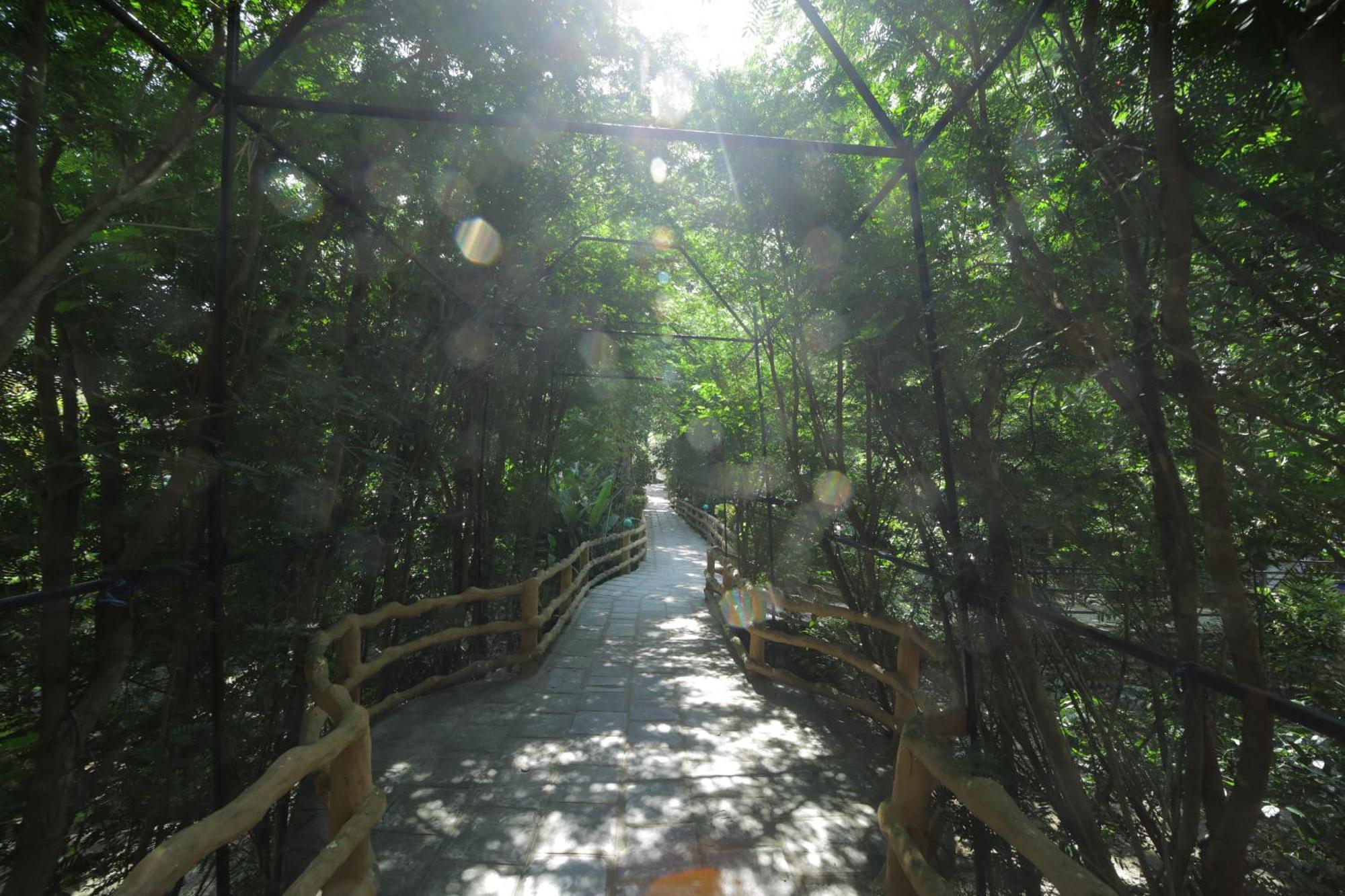Chitwan Gaida Lodge - Animal Lovers & Birdwatchers Paradise Sauraha Bagian luar foto