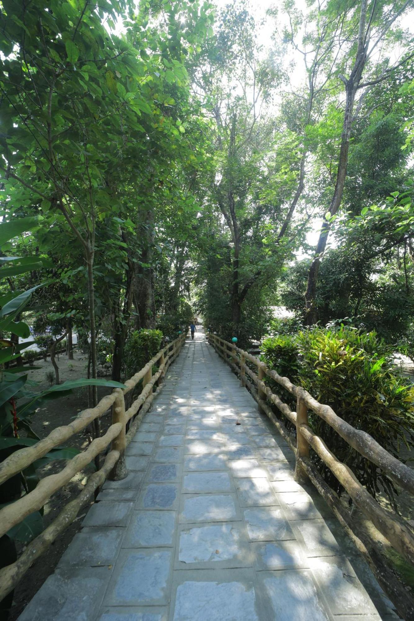 Chitwan Gaida Lodge - Animal Lovers & Birdwatchers Paradise Sauraha Bagian luar foto